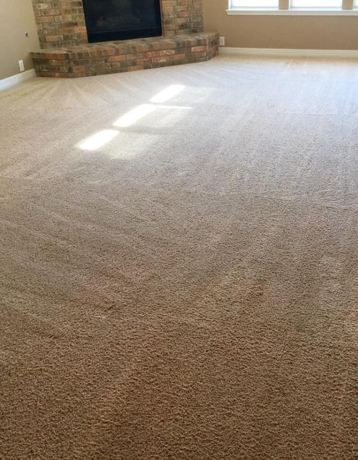 Carpet Cleaning in Austin TX